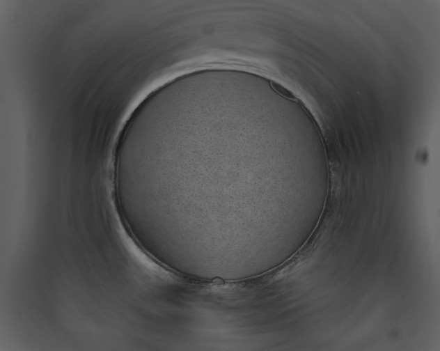 X0000089751531200707121331