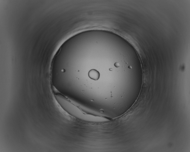 X0000089751532200707121331