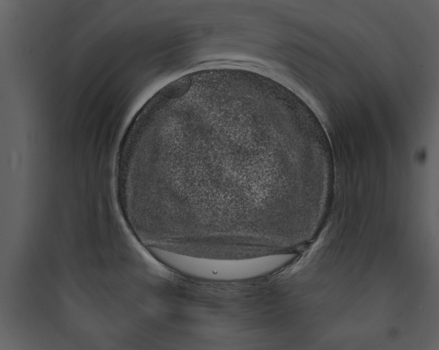 X0000089751533200707121331