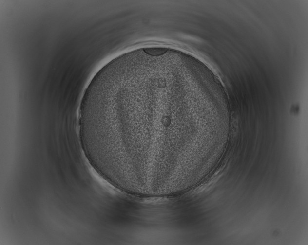 X0000089751535200707121331