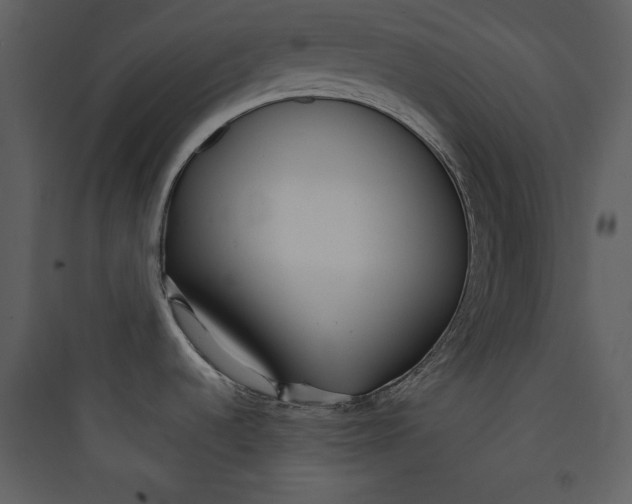 X0000089751536200707121331