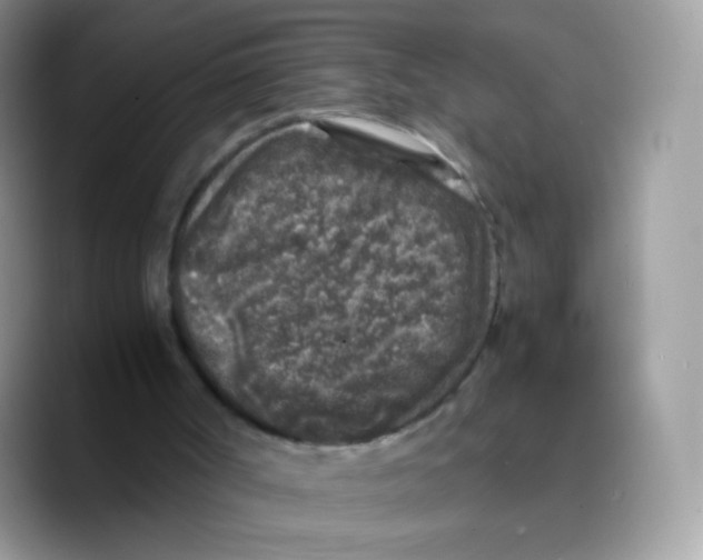 X0000089750002200707201931