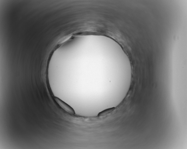 X0000089750003200707201931