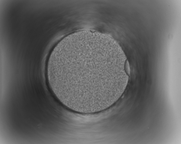 X0000089750006200707201931