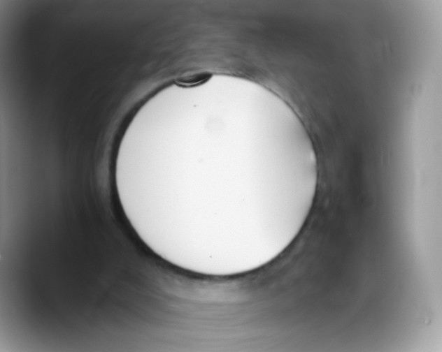 X0000089750008200707201931