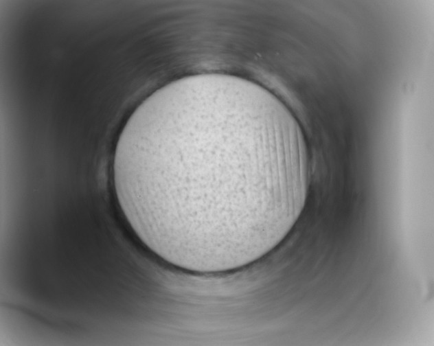 X0000089750010200707201931