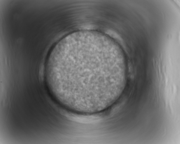 X0000089750012200707201931