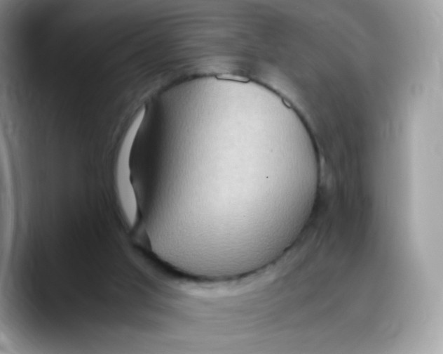 X0000089750013200707201931