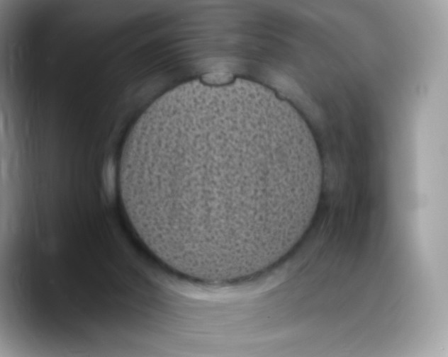 X0000089750014200707201931