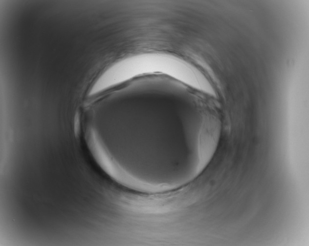 X0000089750019200707201931