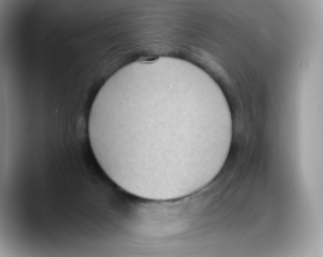 X0000089750025200707201931