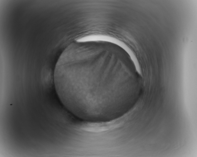 X0000089750029200707201931