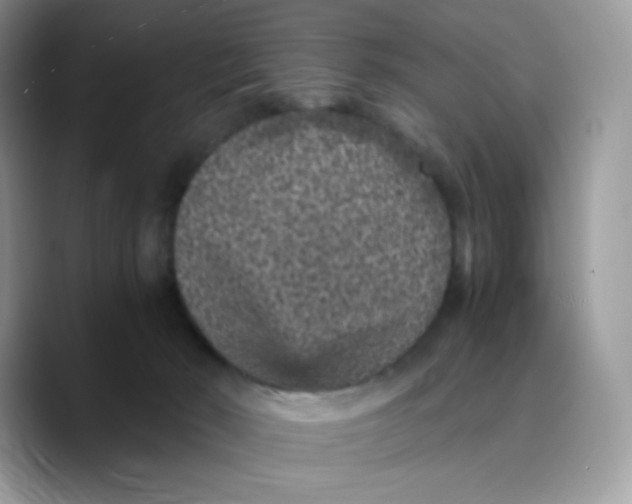 X0000089750030200707201931