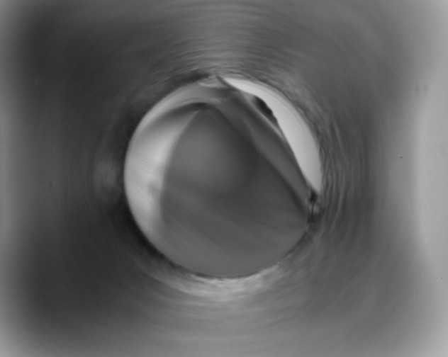 X0000089750031200707201931