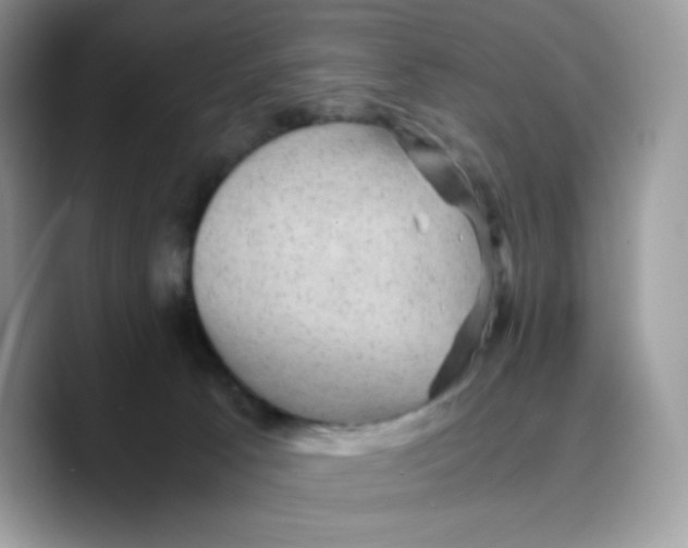 X0000089750033200707201931