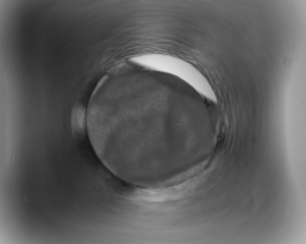 X0000089750041200707201931