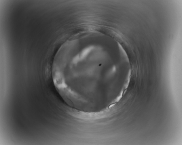 X0000089750043200707201931