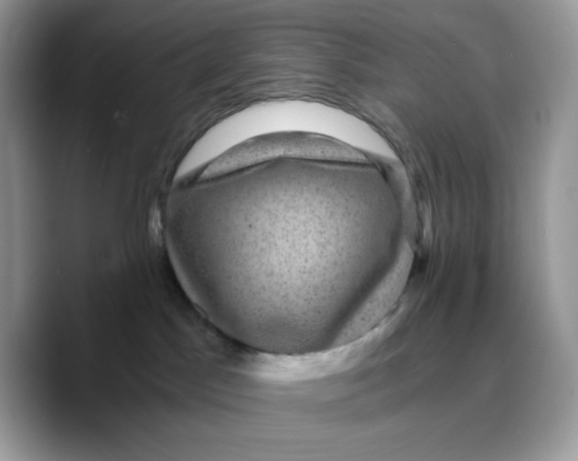 X0000089750045200707201931