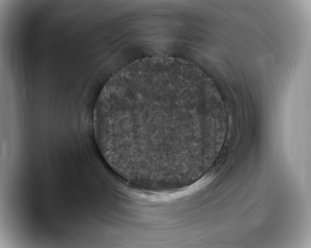 X0000089750048200707201931