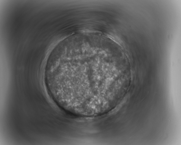 X0000089750049200707201930