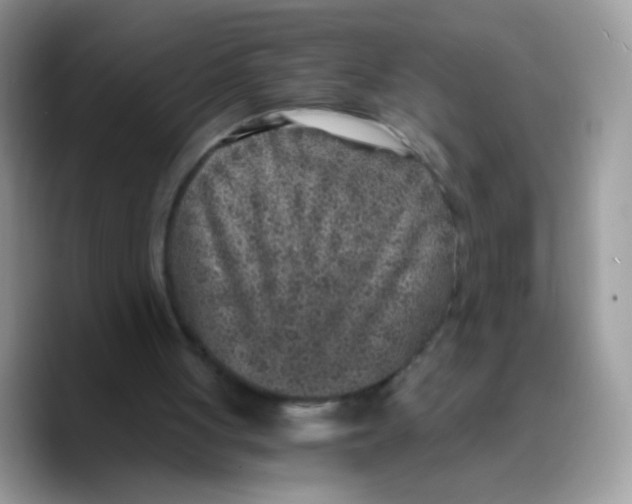 X0000089750051200707201930