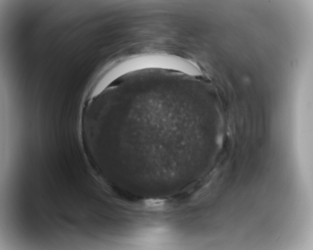 X0000089750052200707201930