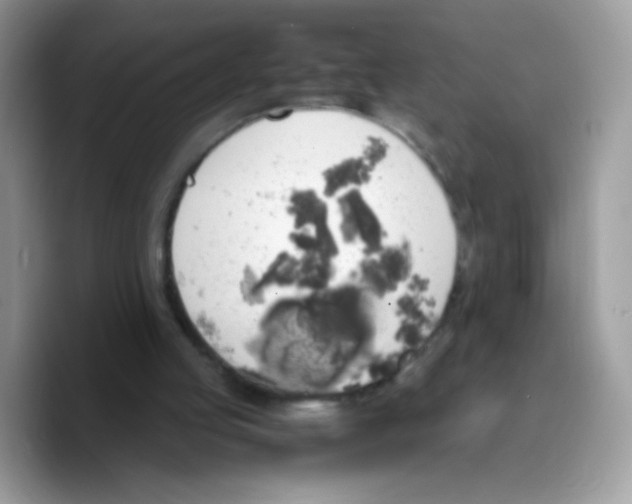 X0000089750053200707201930