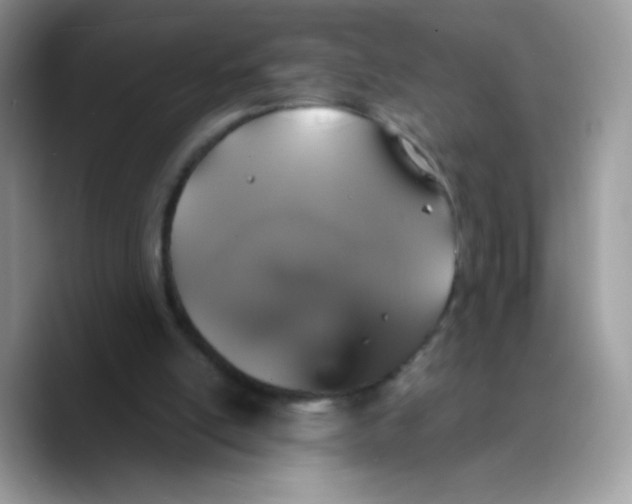 X0000089750054200707201930