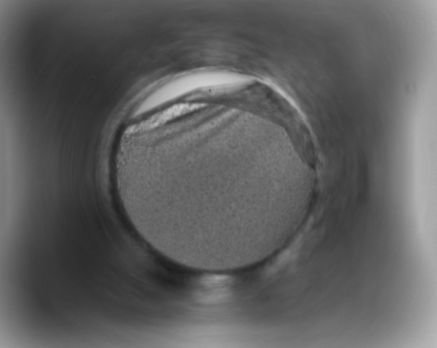 X0000089750055200707201930