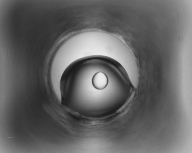 X0000089750056200707201930