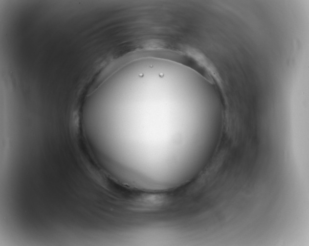 X0000089750057200707201930