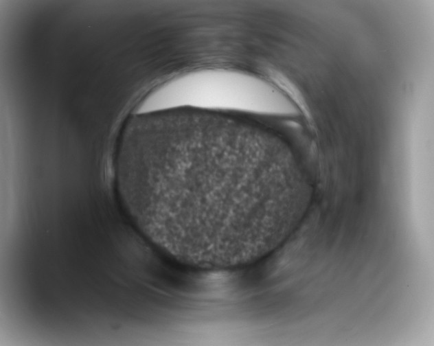 X0000089750059200707201930