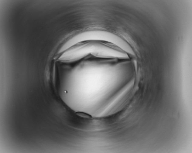 X0000089750060200707201930