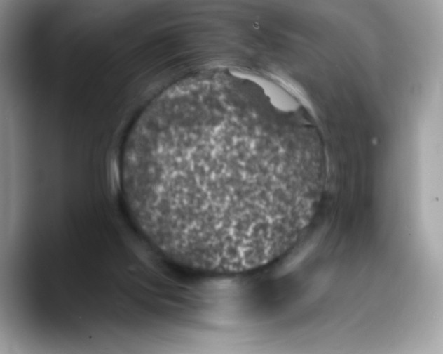 X0000089750061200707201930