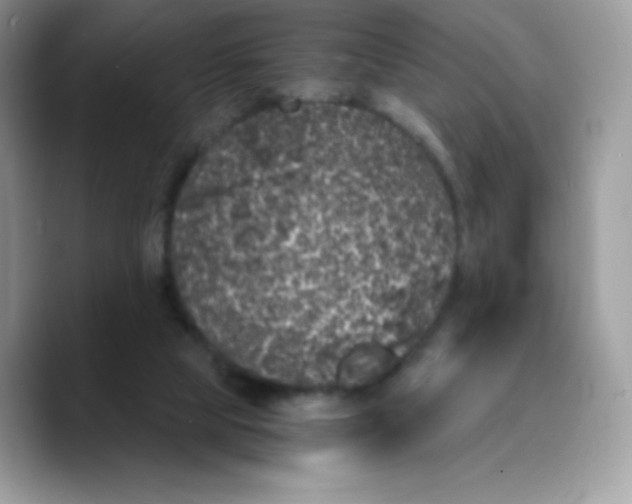 X0000089750065200707201930