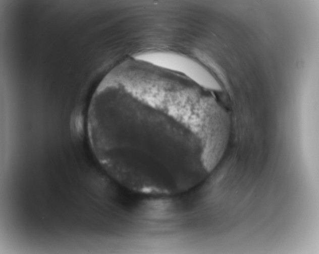 X0000089750067200707201930