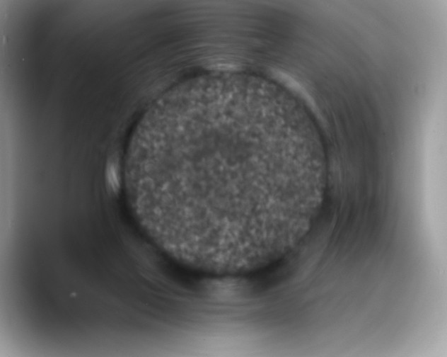 X0000089750069200707201930