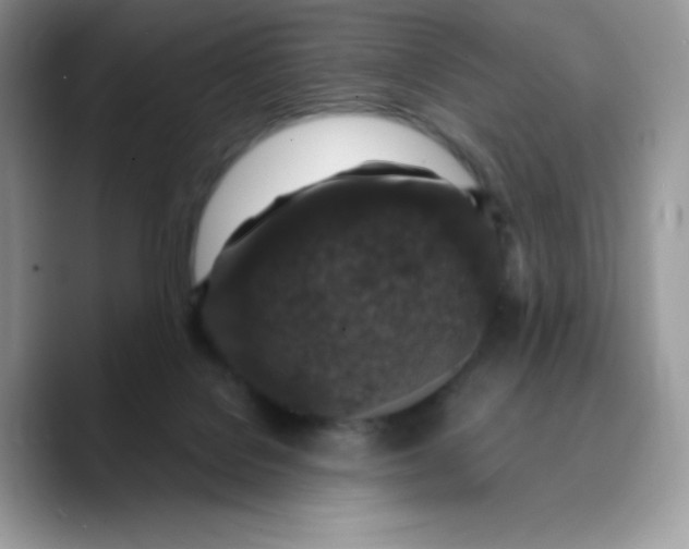 X0000089750076200707201931