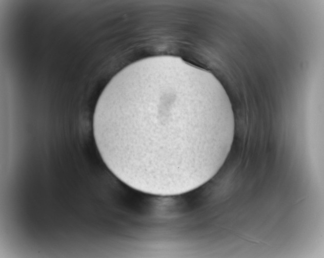 X0000089750085200707201931