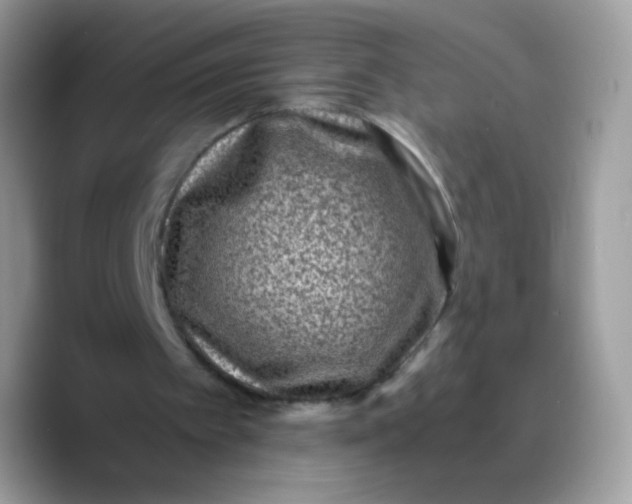 X0000089750097200707201930