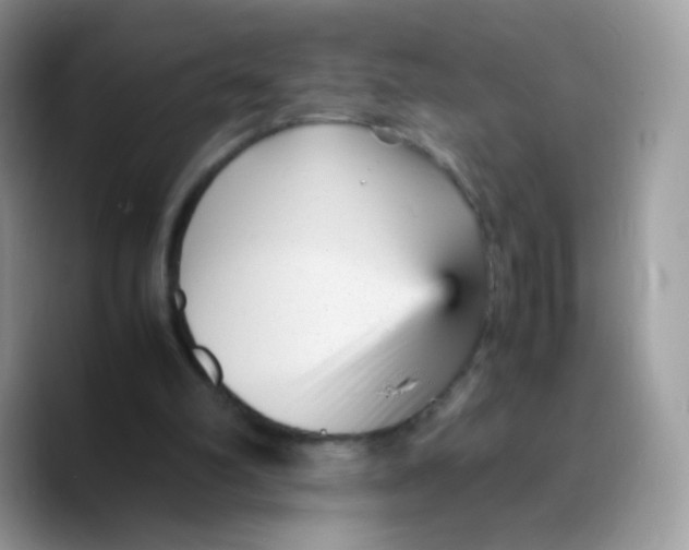 X0000089750102200707201930