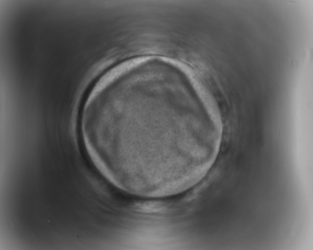 X0000089750104200707201930