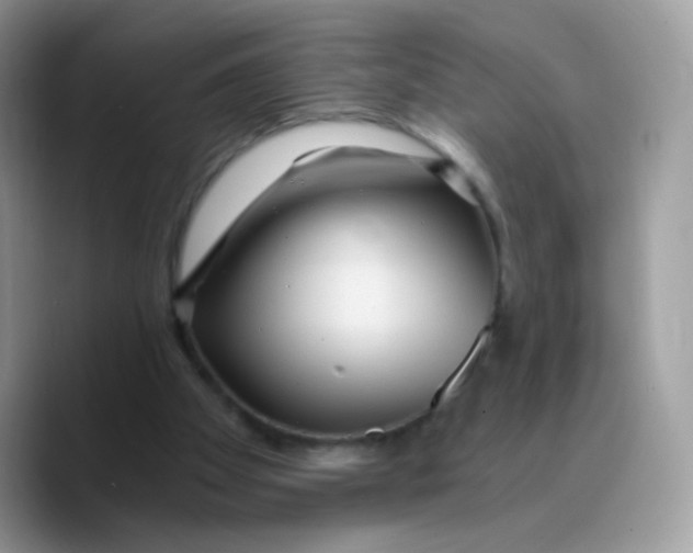 X0000089750105200707201930