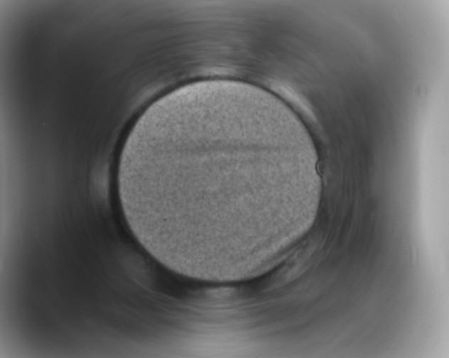 X0000089750108200707201930