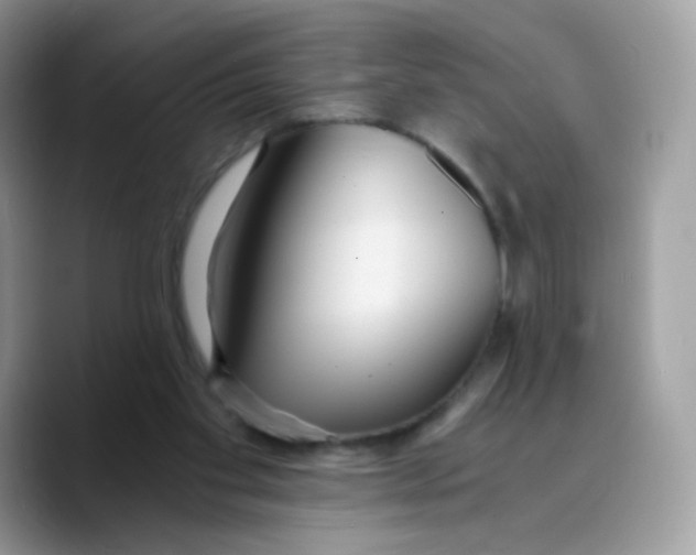 X0000089750109200707201930