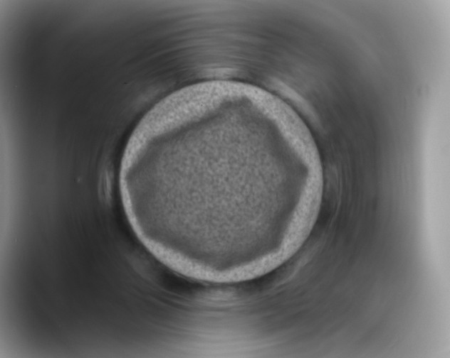 X0000089750110200707201930