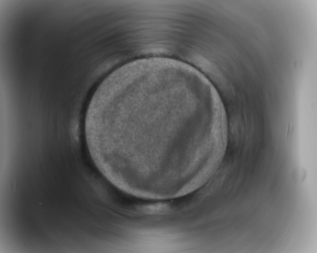 X0000089750112200707201930