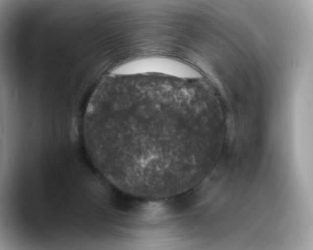 X0000089750114200707201930