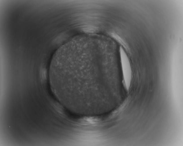 X0000089750117200707201930