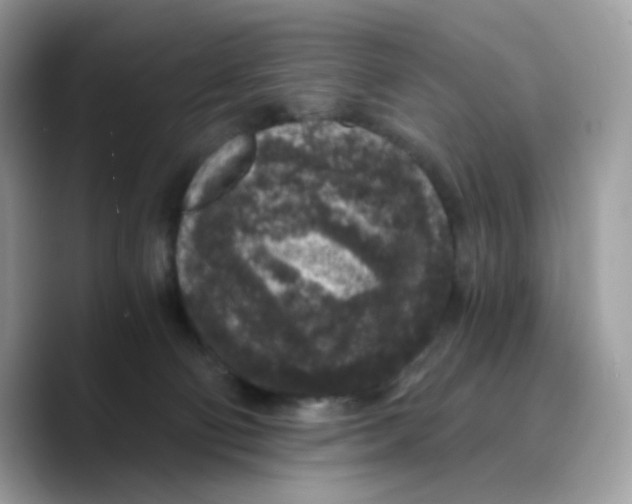 X0000089750130200707201930